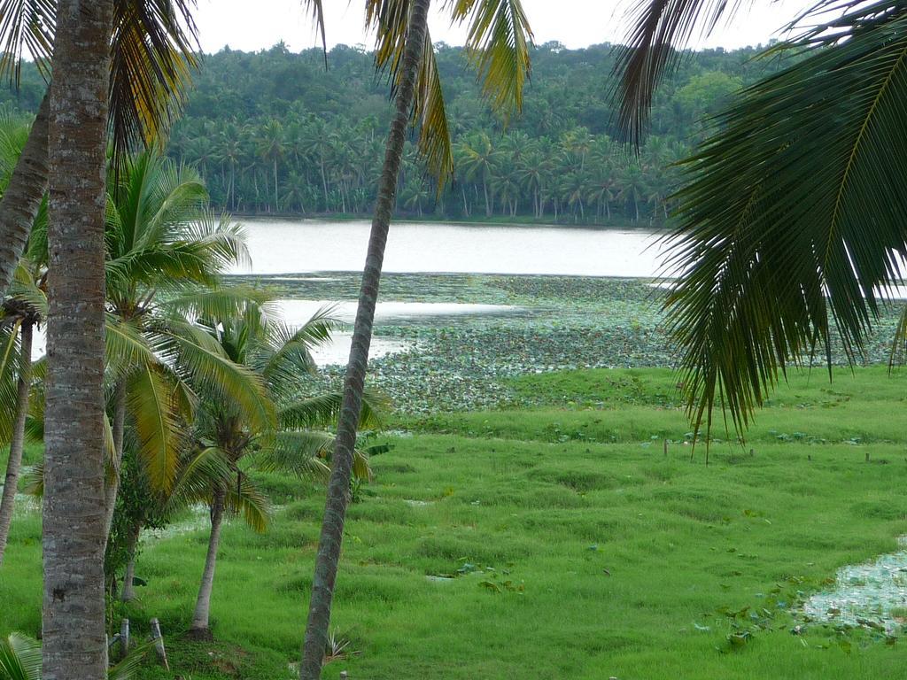 Ganesh Ayurveda Holiday Home Bed And Breakfast Kovalam Eksteriør billede