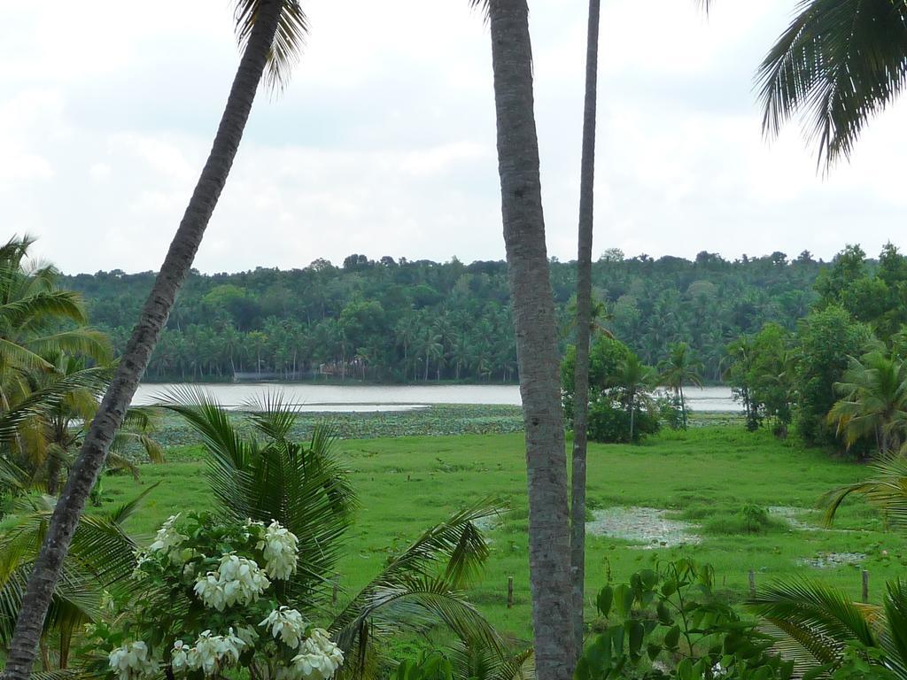 Ganesh Ayurveda Holiday Home Bed And Breakfast Kovalam Eksteriør billede